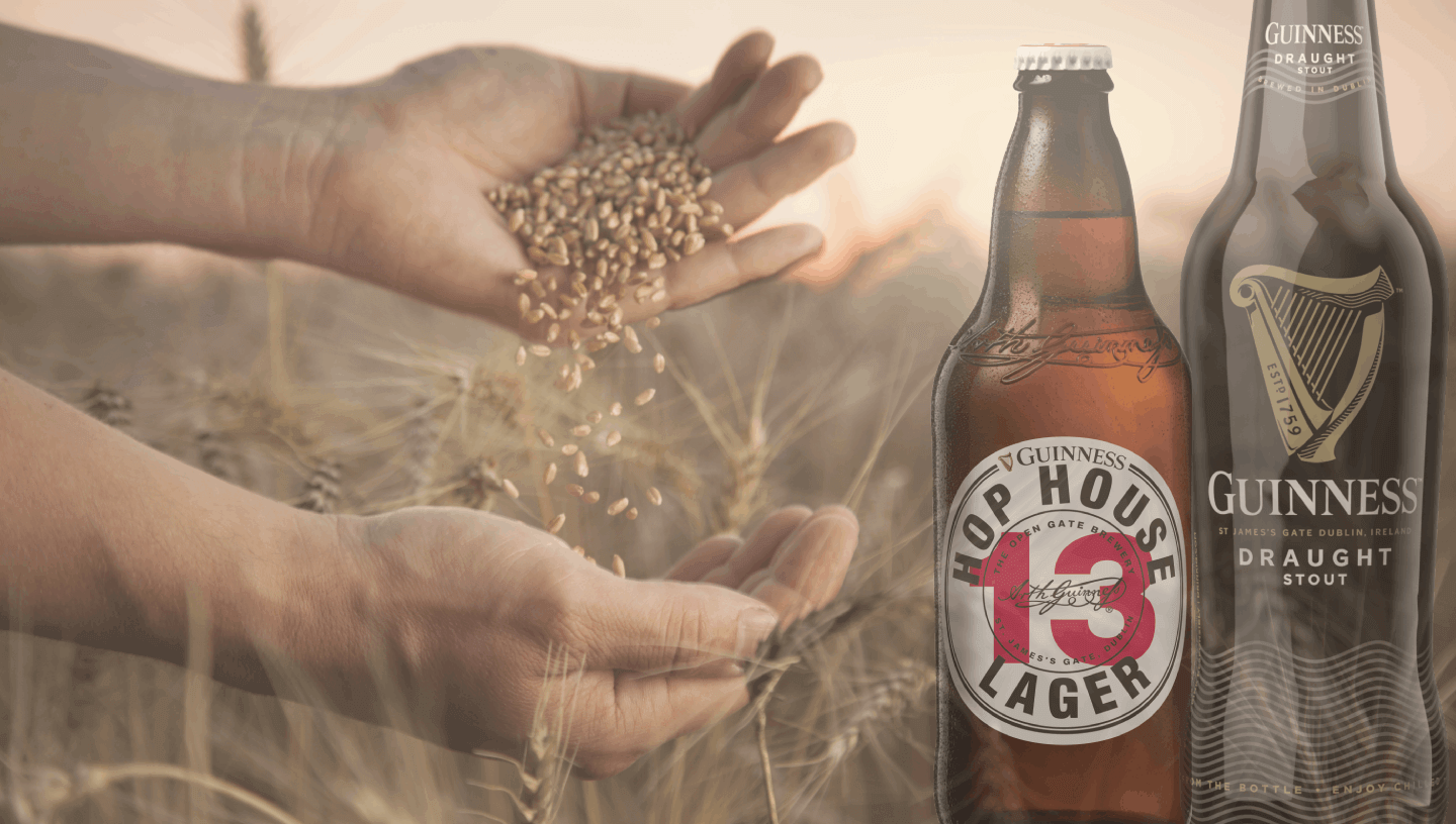 Guinness (1)